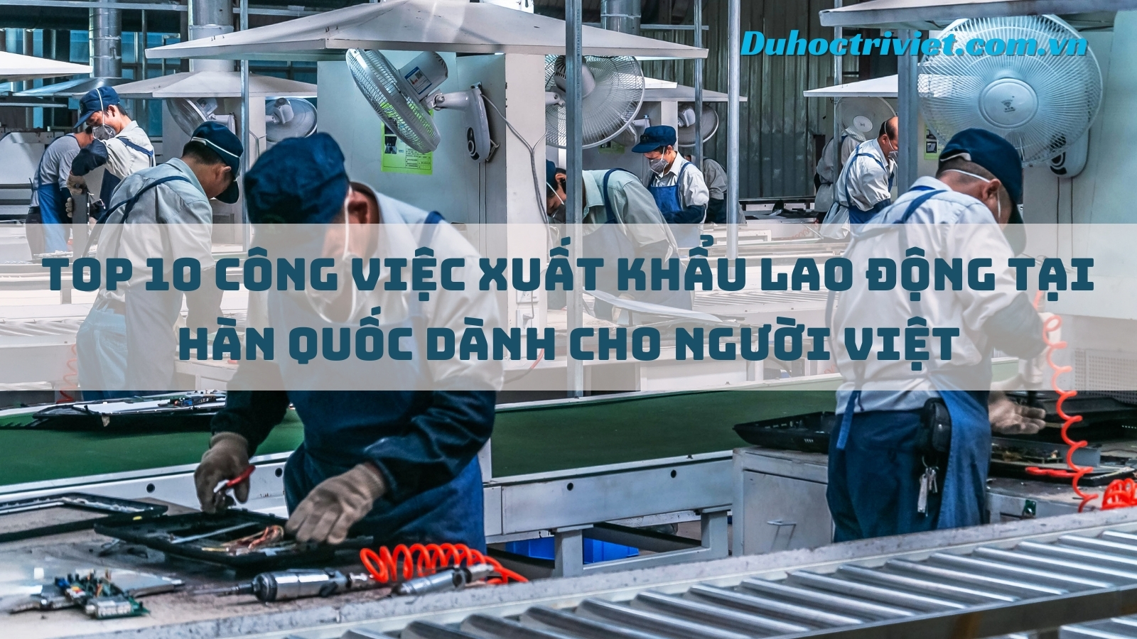 Top 10 công việc xuất khẩu lao động tại Hàn Quốc dành cho người việt