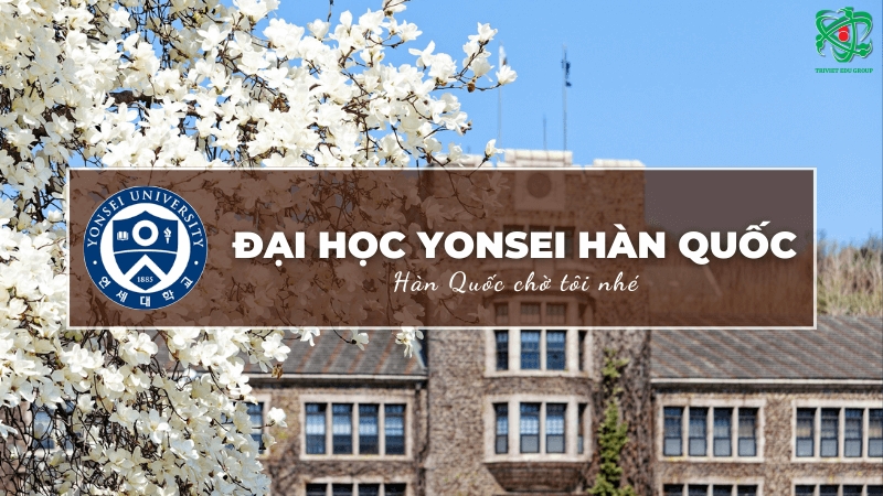 Trường Đại học Yonsei Hàn Quốc – 연세대학교